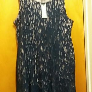 NWT NAVY LACE  ANTHROPOLOGIE DRESS